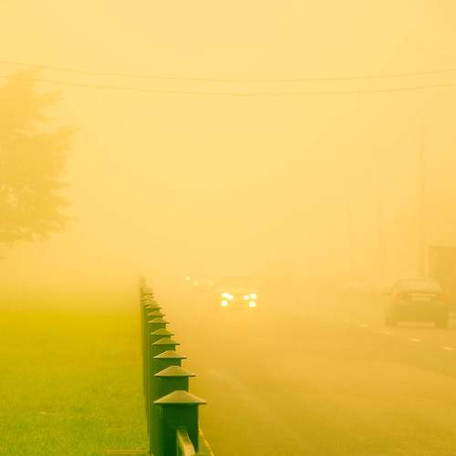 Photo #6709535