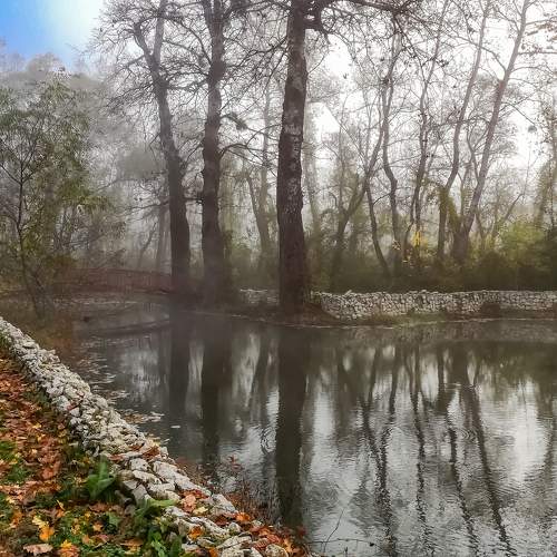 Photo #6709583