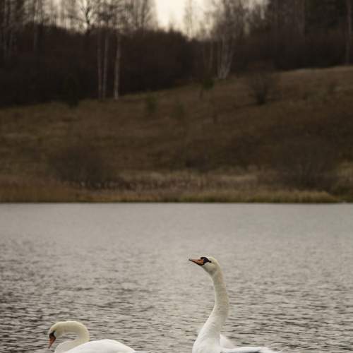 Фотография #6709616