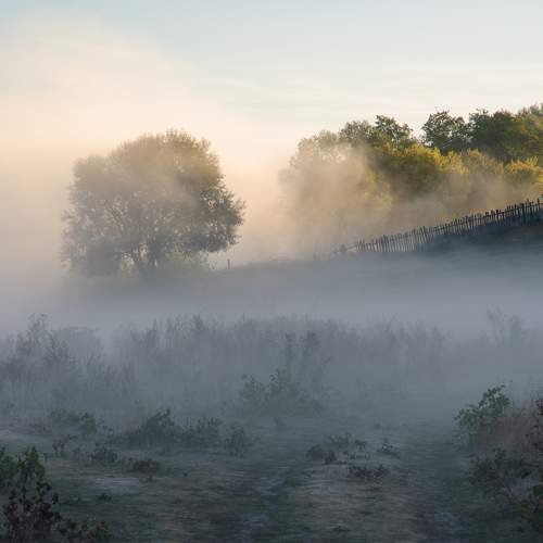 Photo #6709820