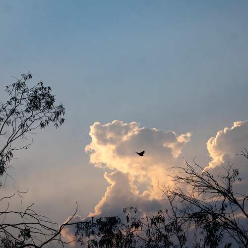 Photo #6710001
