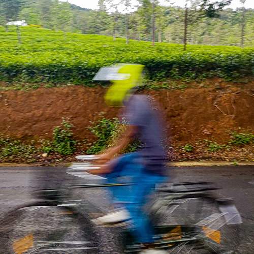 Photo #6710261