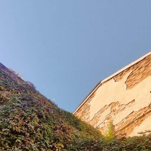 Photo #6710287