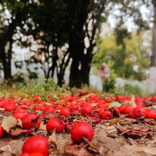 Photo #6710288
