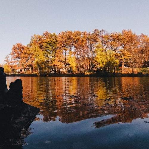 Photo #6710289