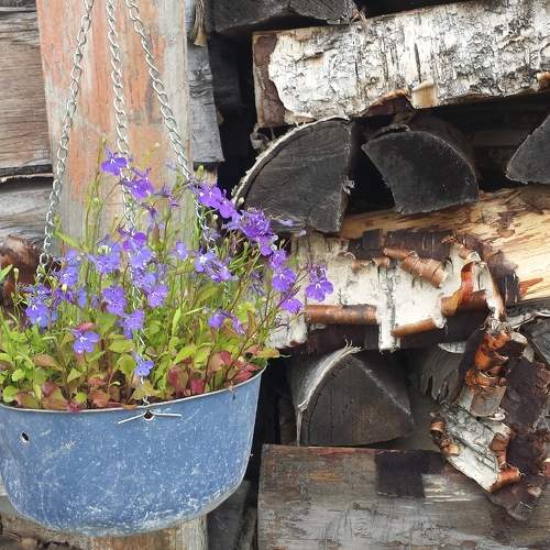 Photo #6710479
