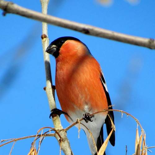 Photo #6710593