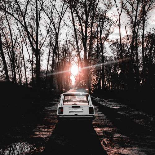 Photo #6710901