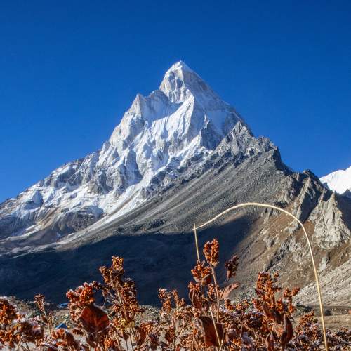Photo #6711149