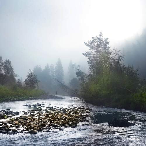 Photo #6711201