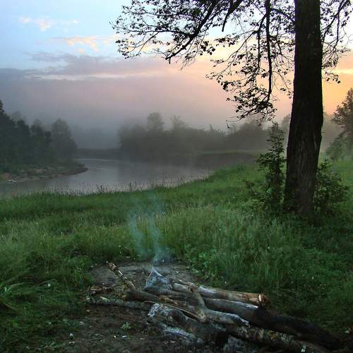 Photo #6711279