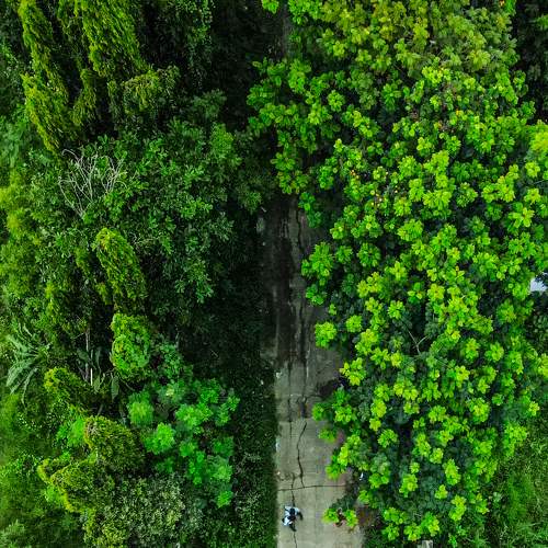 Photo #6711485