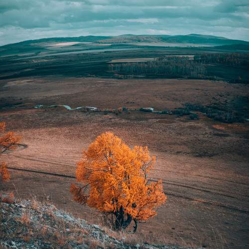 Photo #6711524