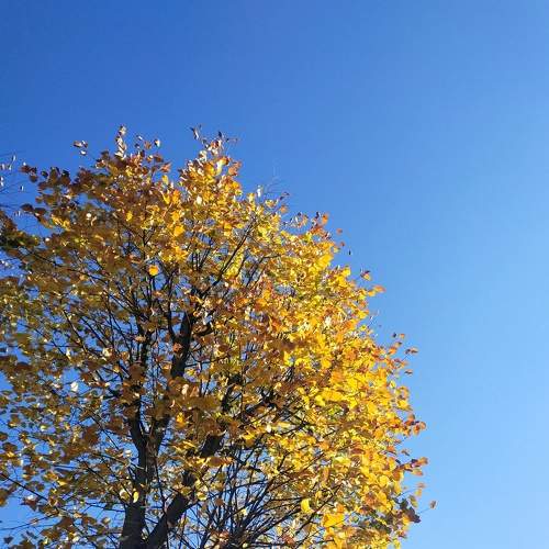 Photo #6711692
