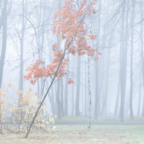 Photo #6711701