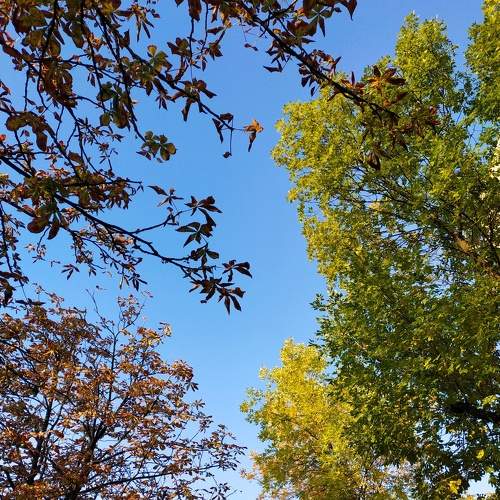 Photo #6711703