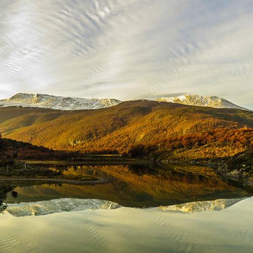 Photo #6711859
