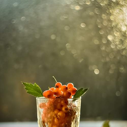 Photo #6712067