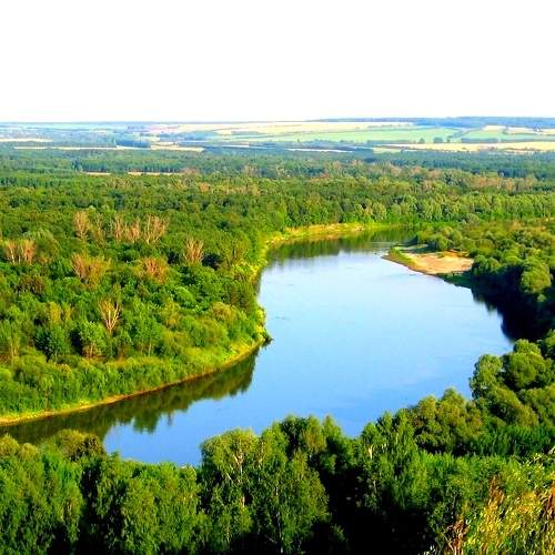 Photo #6712264