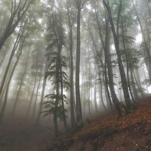 Photo #6712787