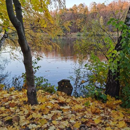 Photo #6712835