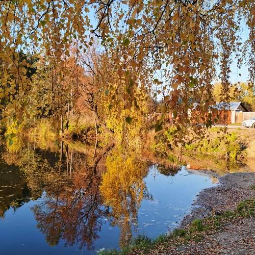 Photo #6712852