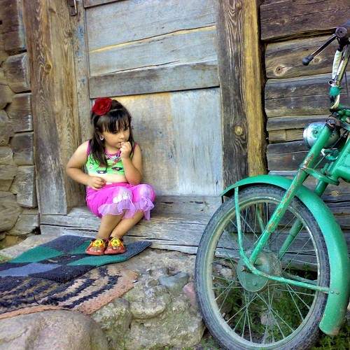 Photo #6713630