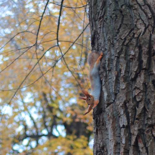 Photo #6713640