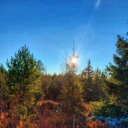 Photo #6713757