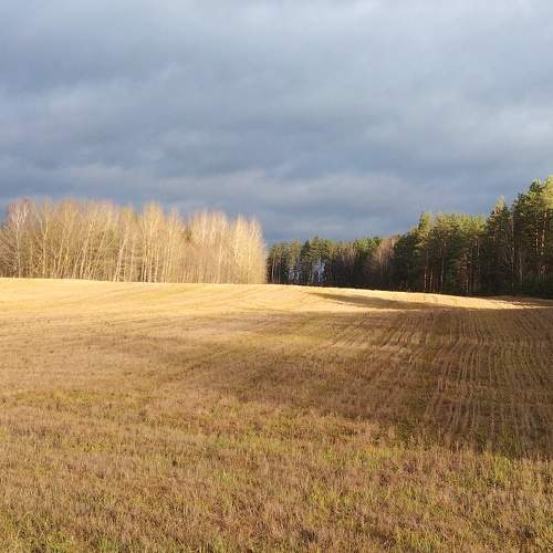 Photo #6713923