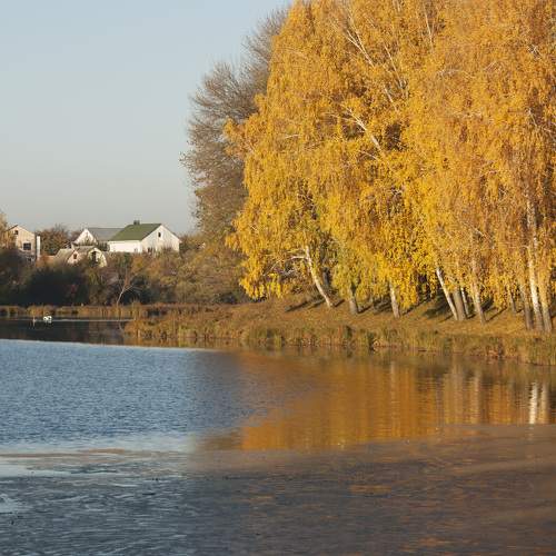 Photo #6714033