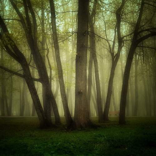 Photo #6714364