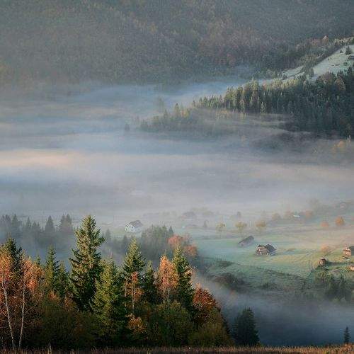Photo #6714592