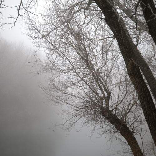 Photo #6715162