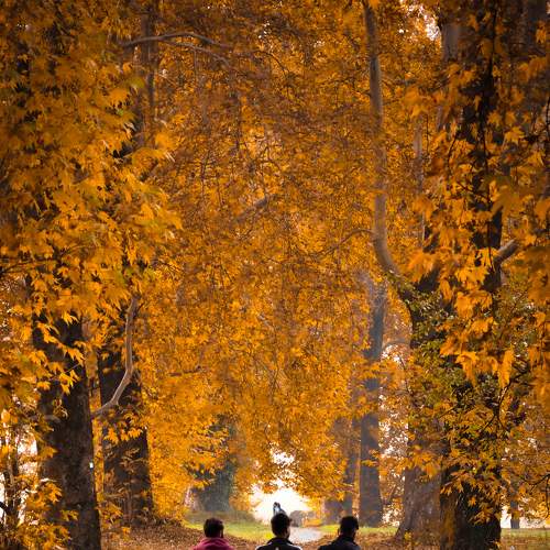 Photo #6715194