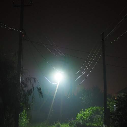 Photo #6715305