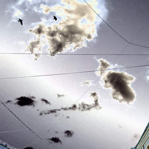 Photo #6715642