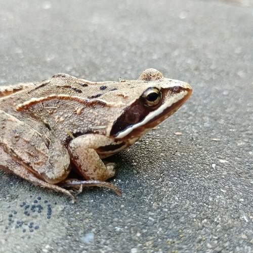 Photo #6715649
