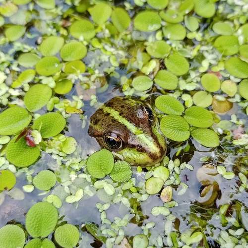 Photo #6715660