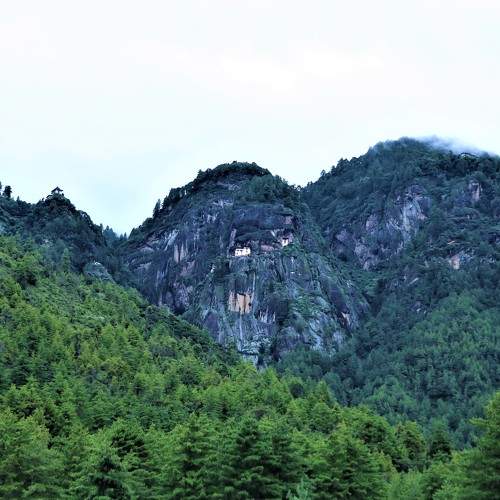 Photo #6715669