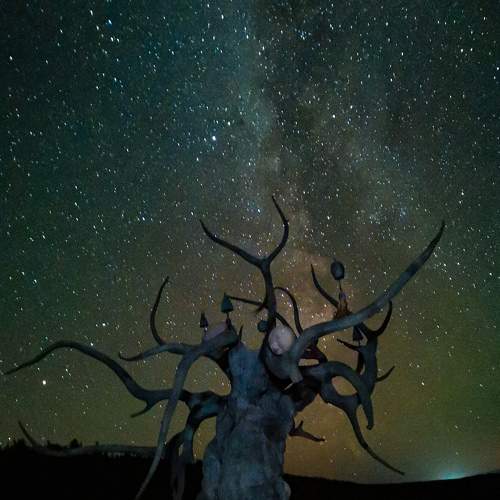 Photo #6715679