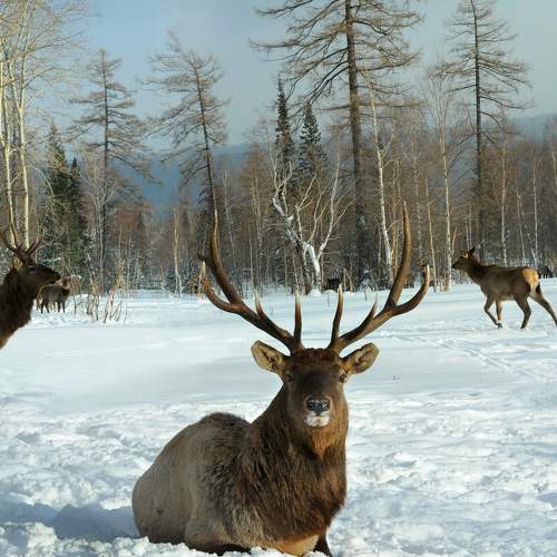 Photo #6716027