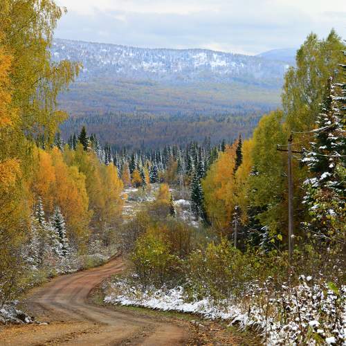Photo #6716044