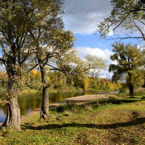 Photo #6716047