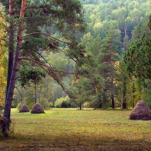 Photo #6716070