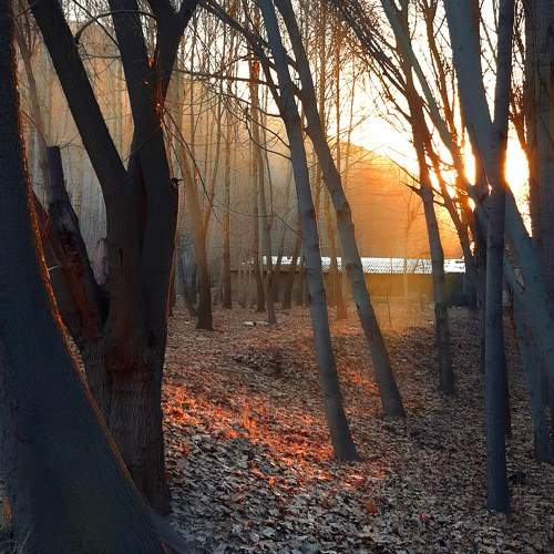 Photo #6716110