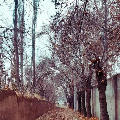 Photo #6716131