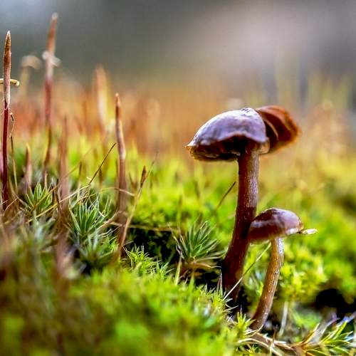 Photo #6716208