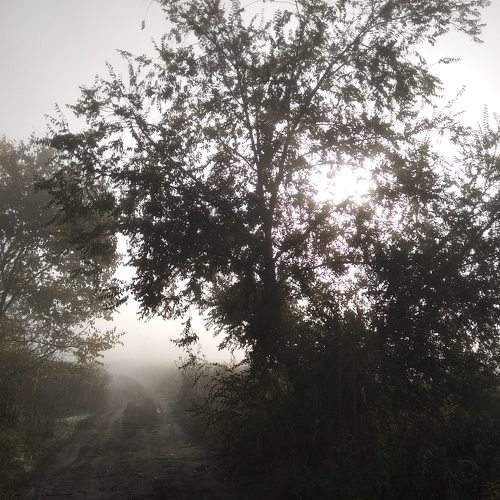 Photo #6716346