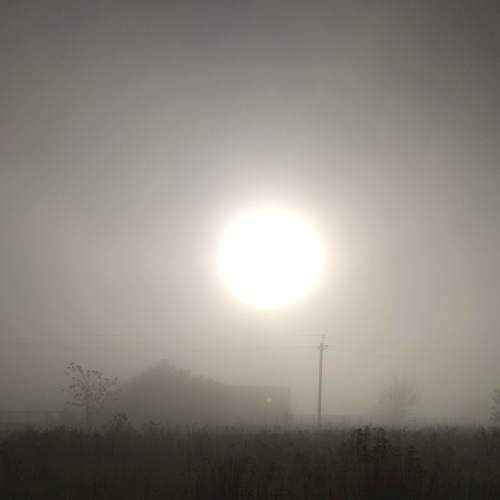 Photo #6716363